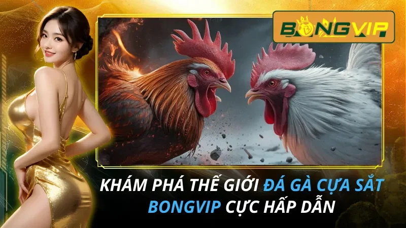 Đá Gà Cựa Sắt